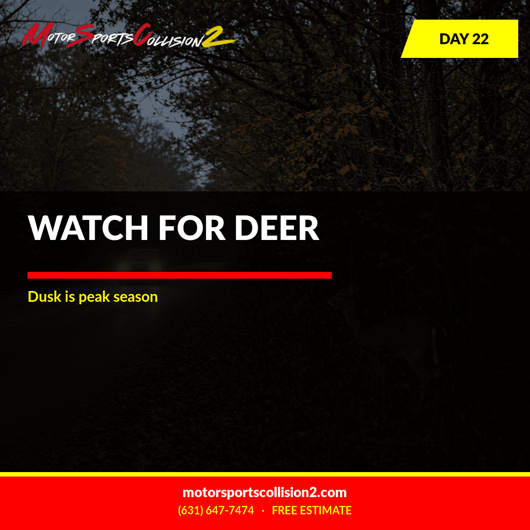 October 22, 2026: WATCH FOR DEER